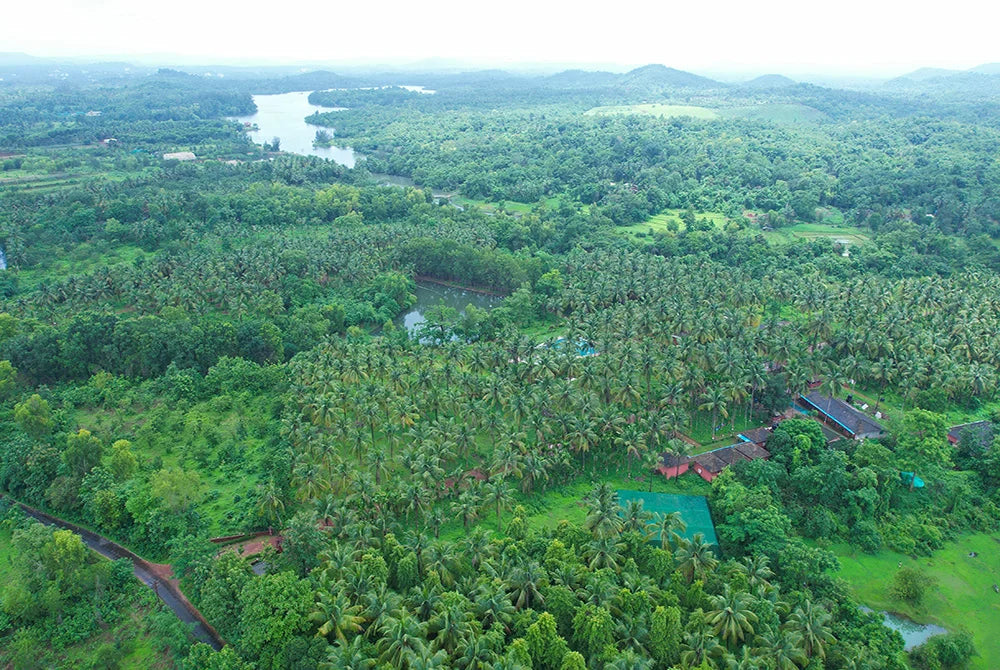 India Balion Agrofoods Pvt Ltd