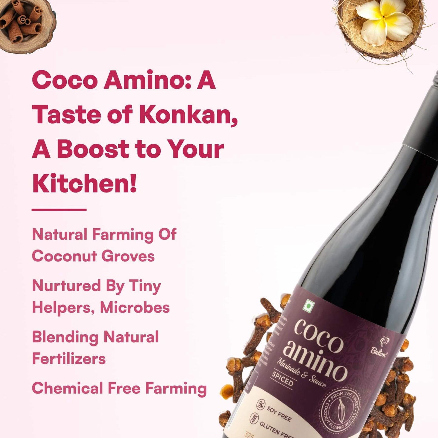 
                  
                    Coco Amino - Spiced
                  
                