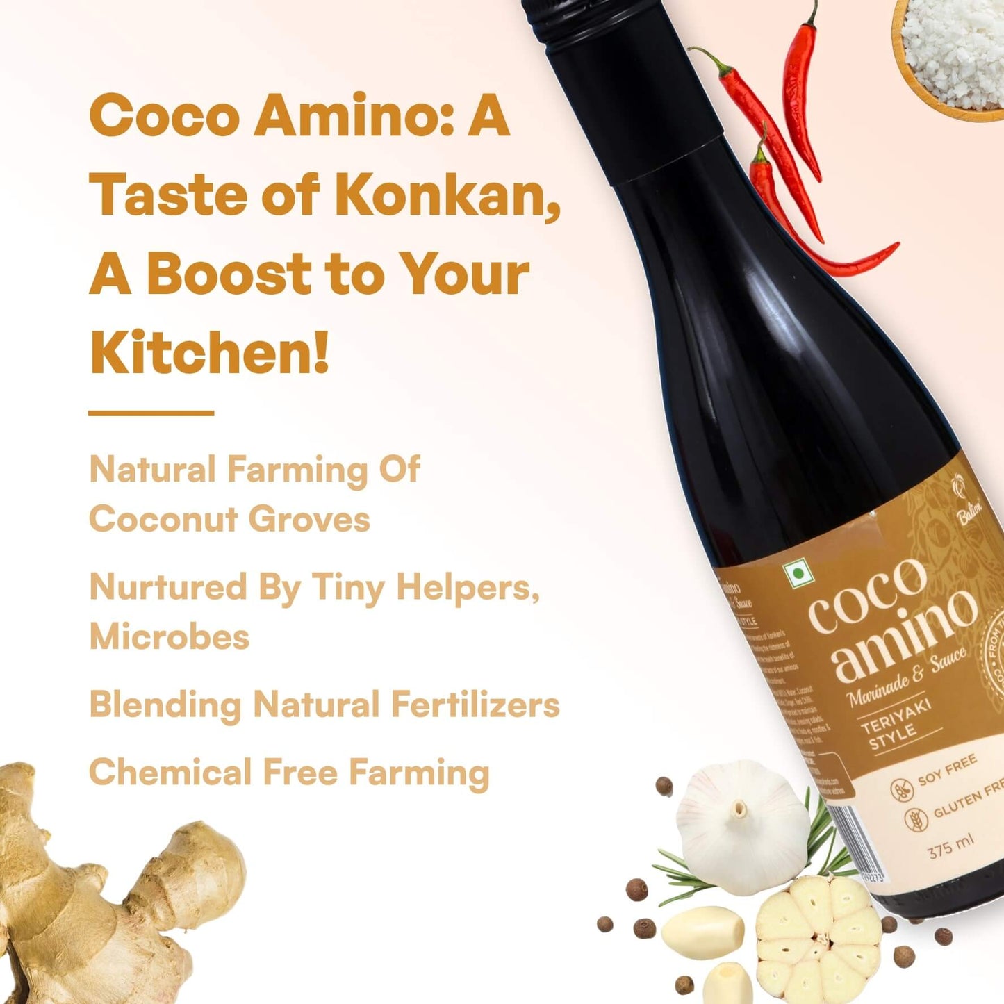 
                  
                    Coco Amino- Teriyaki
                  
                